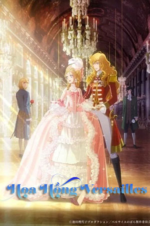 Hoa Hồng Versailles